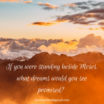 If you were standing beside Moses,what dreams would you see promised-