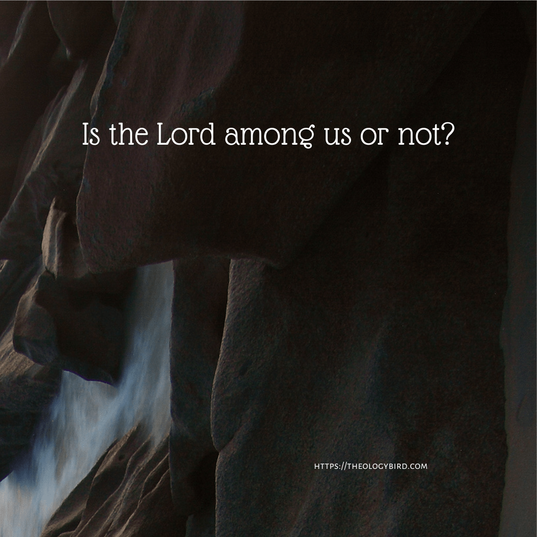 Is the Lord among us or not_