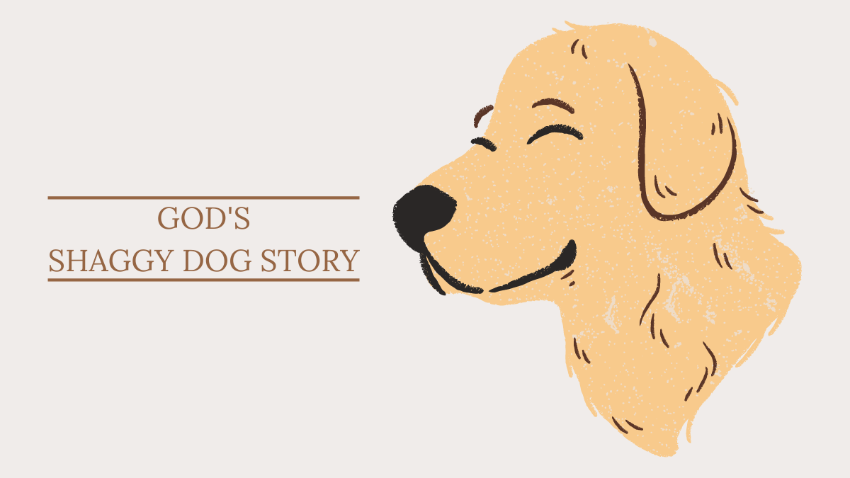 God’s Shaggy Dog Story, August 2022